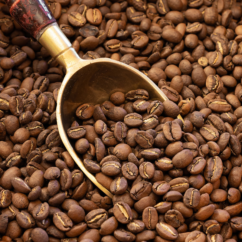 Агротехника выращивания кофе